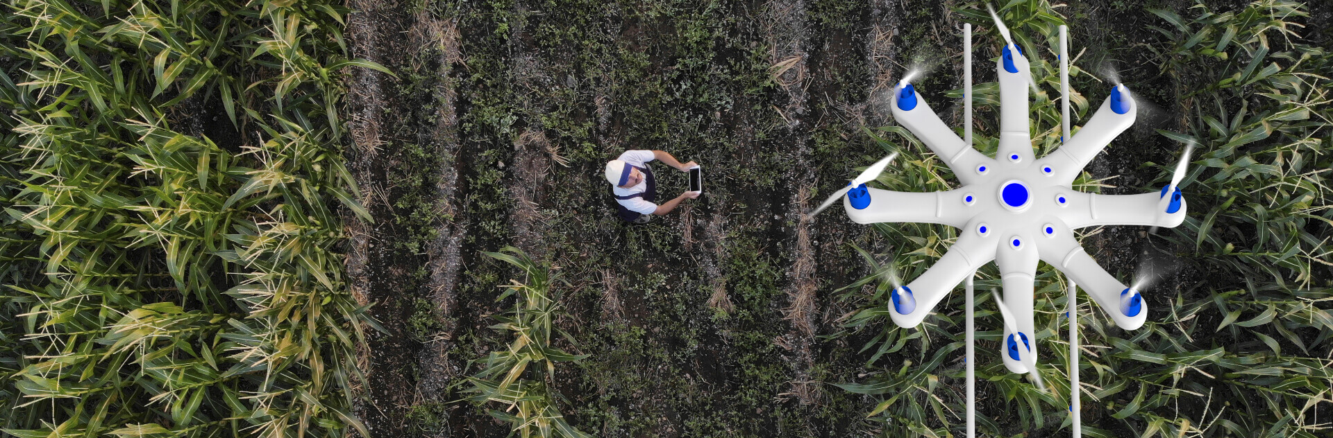 innovation agricole au service de l environnement